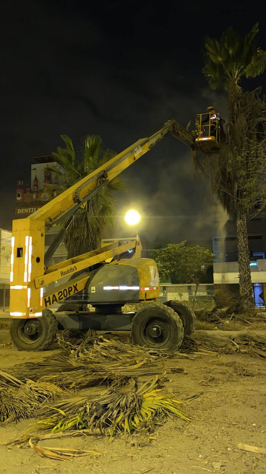 Manlift para poda de palmeras